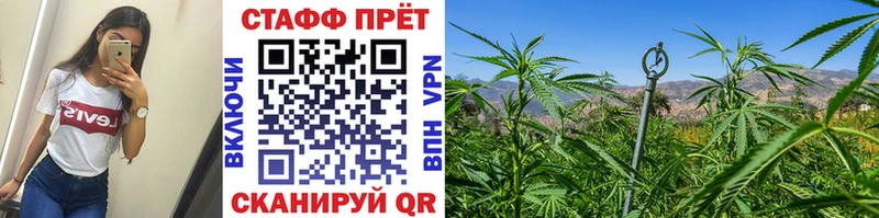 Купить закладку АМФ Альфа ПВП КОКАИН ГАШИШ Меф мяу мяу Канабис Строитель