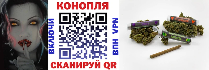 Купить где Строитель Шишки марихуана Ganja